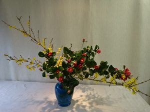 椿の花が開花した日