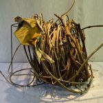 生け花の環境に恵まれて、、感謝です