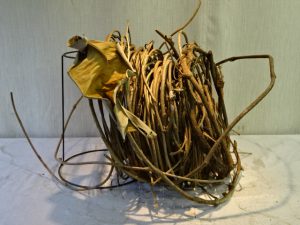 生け花の環境に恵まれて、、感謝です