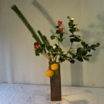 松や万年青 正月の雰囲気です