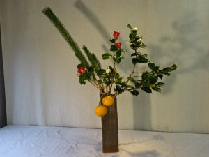 松や万年青　正月の雰囲気です