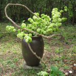 この年を振り返って