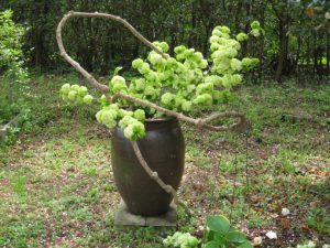 この年を振り返って