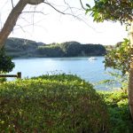 歌を忘れることのないば-