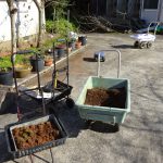 豊かな生け花は其の人を豊かにする