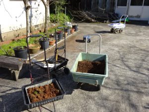 豊かな生け花は其の人を豊かにする