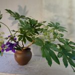 豊富な花材に囲まれて