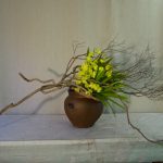 春の嬉しい予感を感じた日