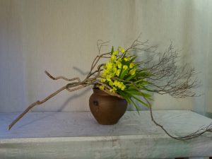 春の嬉しい予感を感じた日