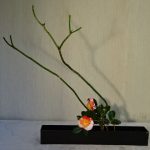 散歩道の春嬉しい出会い