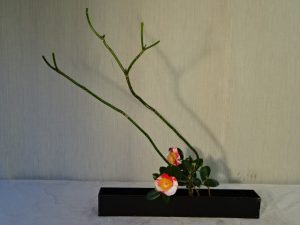 散歩道の春嬉しい出会い