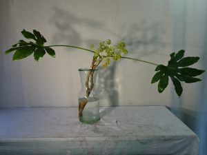 気がついたことを即実行すれは開ける