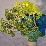 寒い日は春を迎える準備であれこれ思う