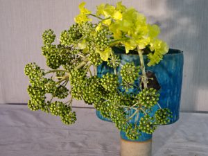 寒い日は春を迎える準備であれこれ思う