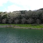 山里が幸せになるために