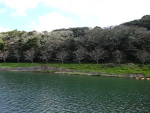 山里が幸せになるために