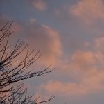 いい気になるのはいい だが過ぎるとよくない