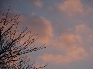 いい気になるのはいい　だが過ぎるとよくない