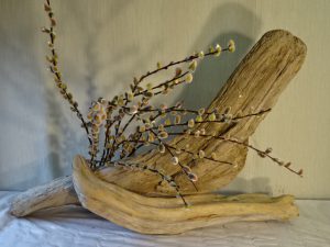 生け花いろいろやってみれば面白さは無限