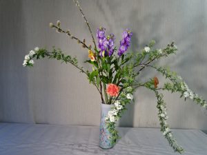 テキスト5の新しい幕上げです