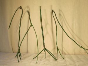 特有の匂いをもつ青木