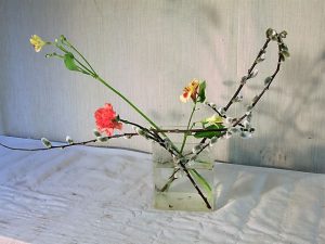 白いカラ－の花は思春期の憧れ