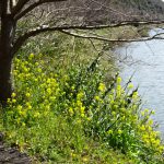 昔腹がへってた子供たち