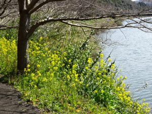 昔腹がへってた子供たち