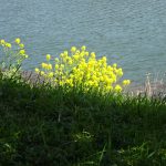 遥かに壱岐水道