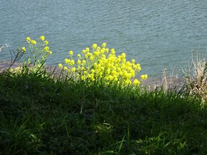 遥かに壱岐水道