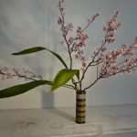 春うらら 海も川も野も