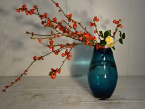 真っ赤なボケの開花