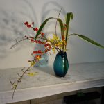 季節外れのニュウサイラン