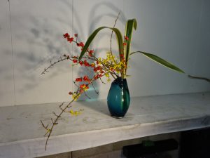 季節外れのニュウサイラン