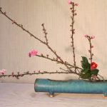 ほんものの春到来です