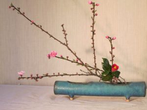 ほんものの春到来です