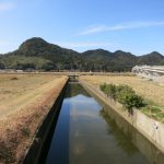 花材も花器も十分使い慣れたらいい