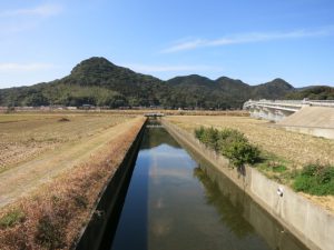 花材も花器も十分使い慣れたらいい