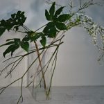 桜よ もう暫し梢の空にとどまっていてほしい