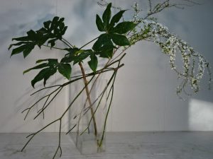 桜よ　もう暫し梢の空にとどまっていてほしい