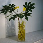 花は咲いたが空はどんと重い 雨だなぁ