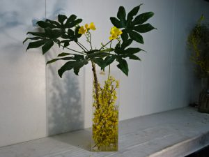 花は咲いたが空はどんと重い　雨だなぁ