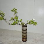 桜よ又1年待ちまs