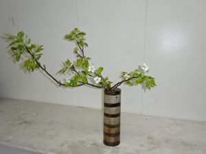 桜よ又1年待ちまｓ