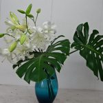 八重桜がぽったり