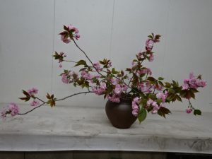 明日はツツジを生けよう