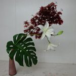 カサブランカは凄いパワ-の魅力があります