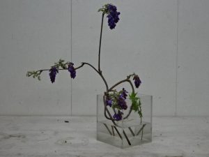 ふじは山の新緑にありその青さは目に染みる