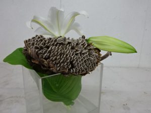 枯れ向日葵のこと