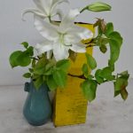 白い花の梨の枝